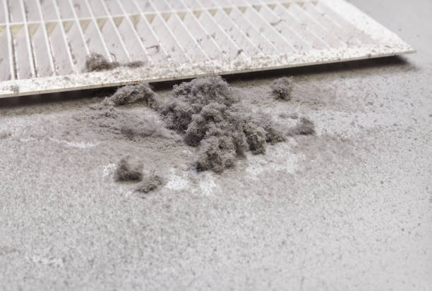 Best Affordable HVAC Duct Cleaning  in Danville, IA